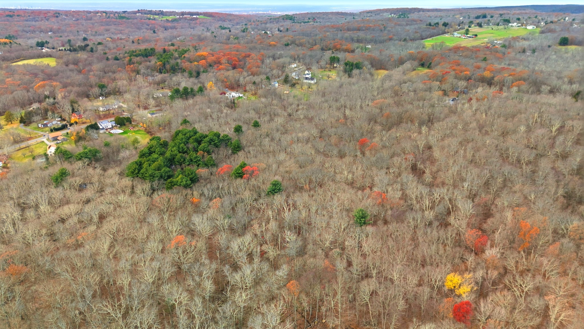126 Hebron Road Bolton, CT 06043 - Photo 15 of 23 a view of a bunch of trees and bushes