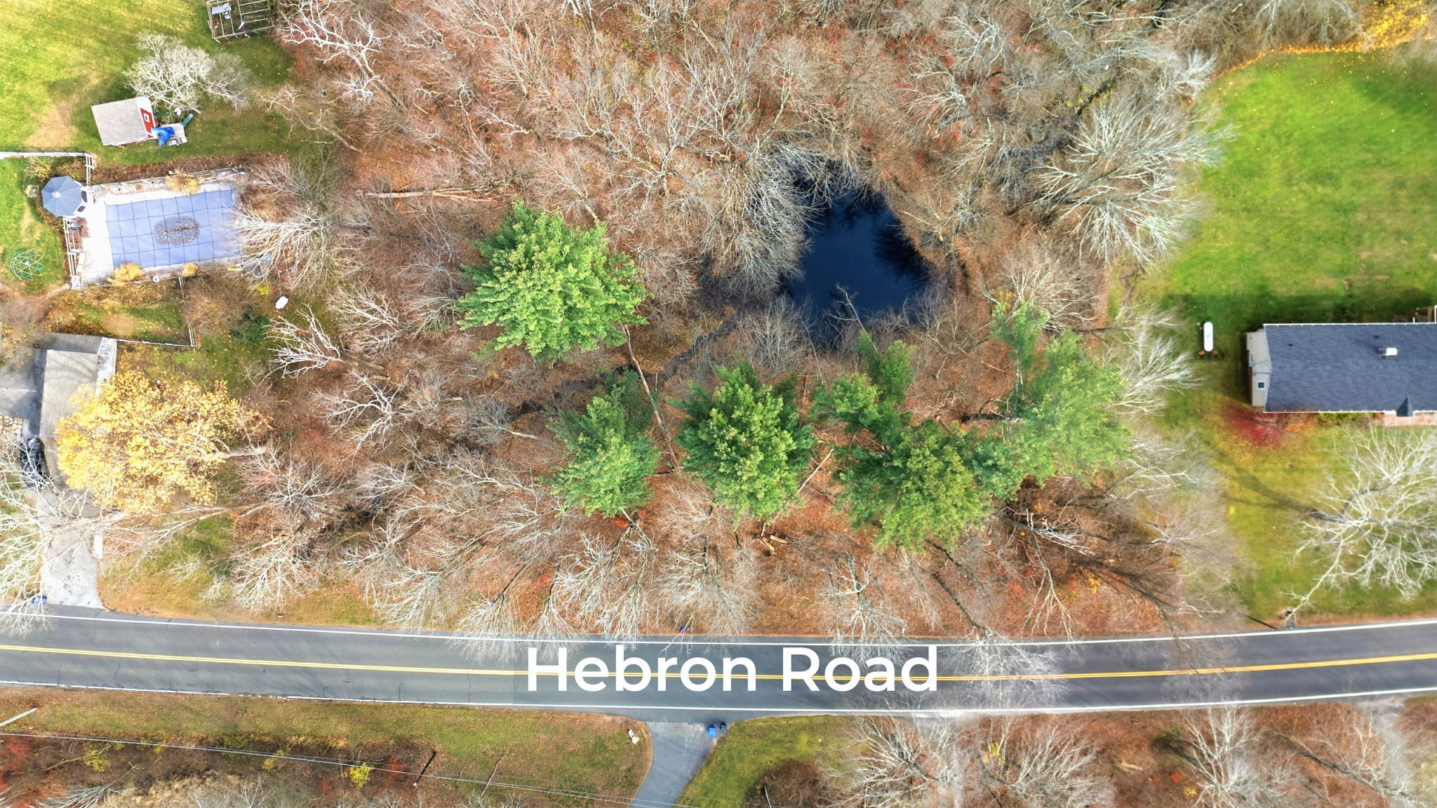 126 Hebron Road Bolton, CT 06043 - Photo 17 of 23 a view of a tree with a yard