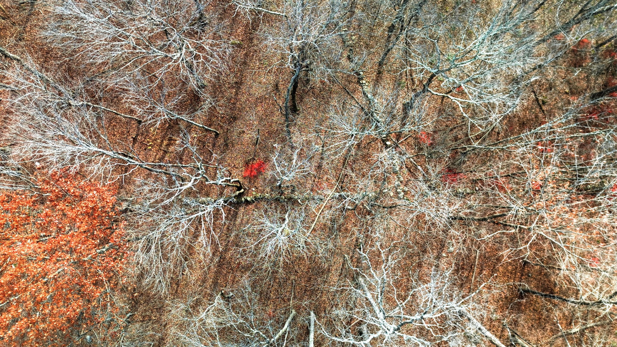 126 Hebron Road Bolton, CT 06043 - Photo 23 of 23