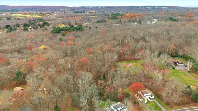 a view of a dry yard