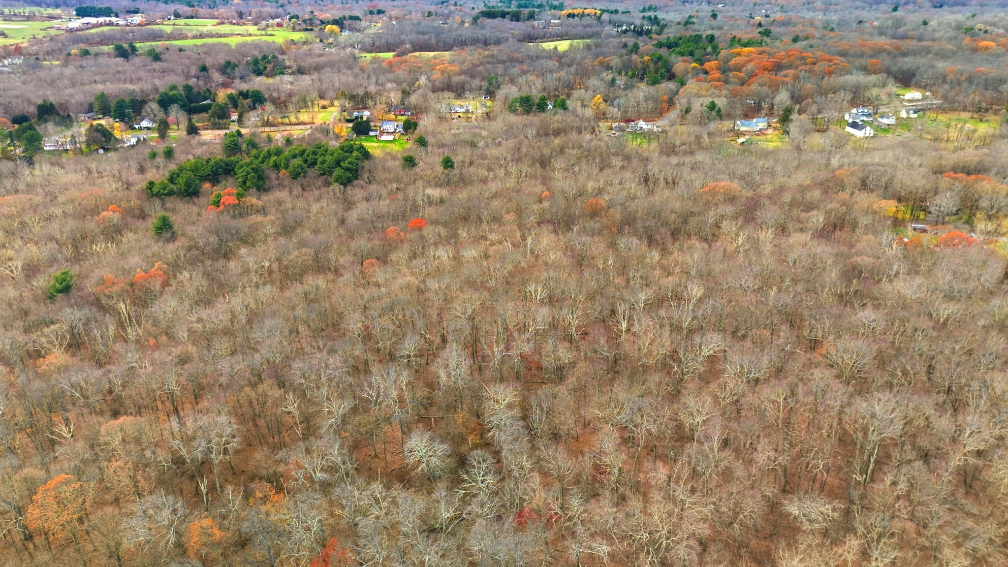 126 Hebron Road Bolton, CT 06043 - Photo 9 of 23 a view of a yard