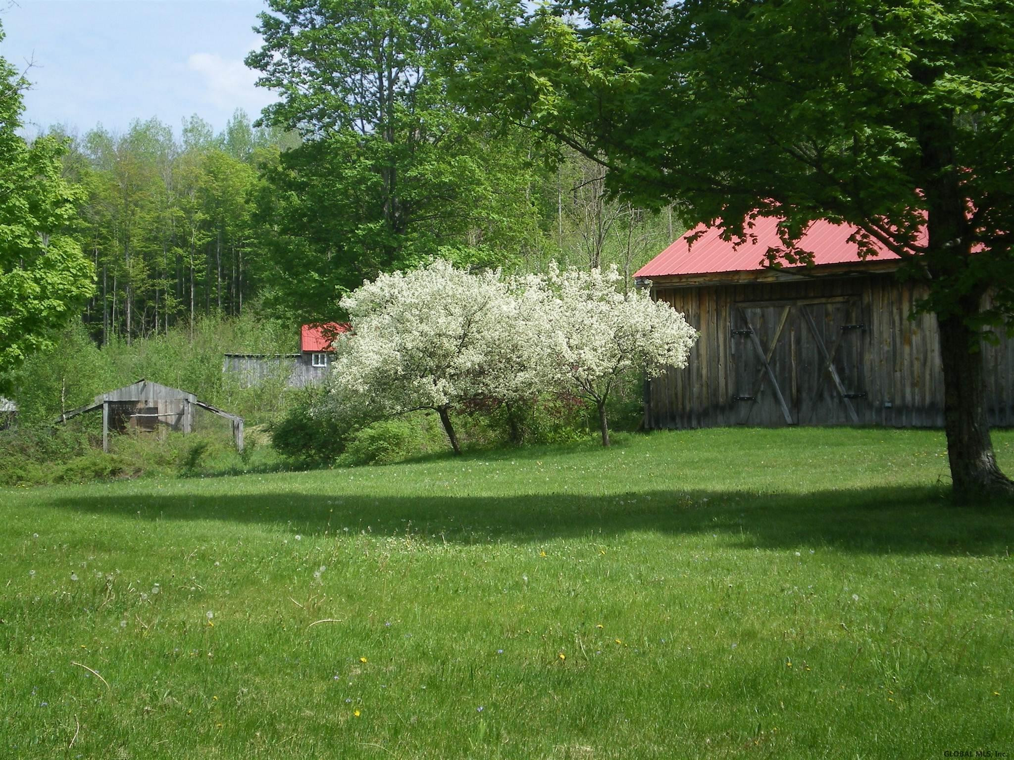 498 Perry Hill Road Cherry Valley, NY 13320 - Photo 26 of 35 Photo 27