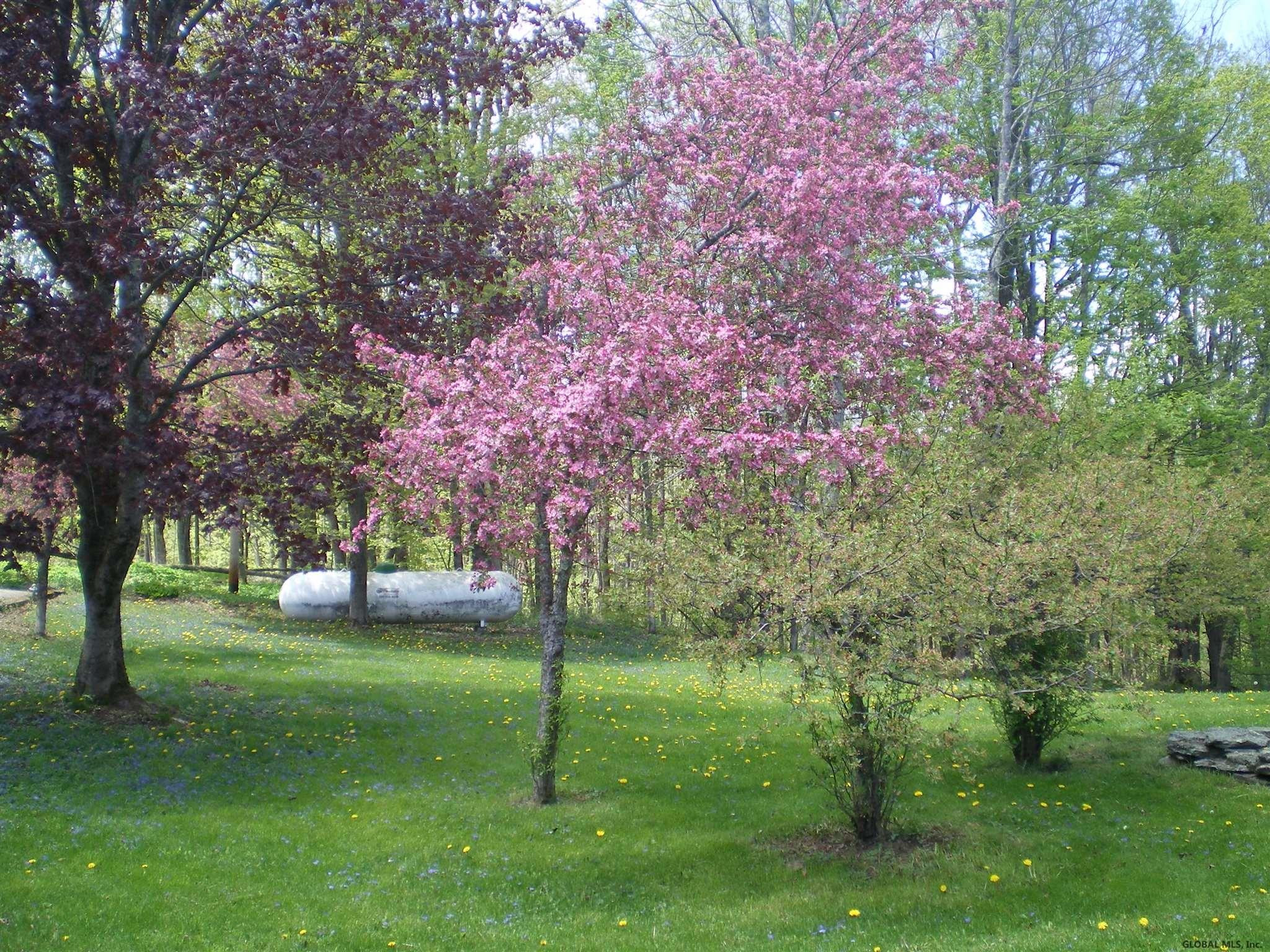 498 Perry Hill Road Cherry Valley, NY 13320 - Photo 29 of 35 Photo 30