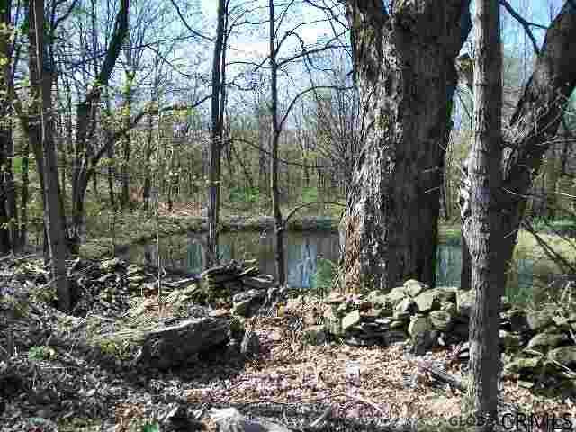 498 Perry Hill Road Cherry Valley, NY 13320 - Photo 3 of 35 Photo 4