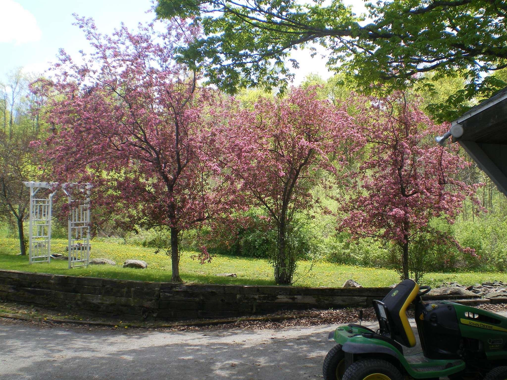 498 Perry Hill Road Cherry Valley, NY 13320 - Photo 32 of 35 Photo 33
