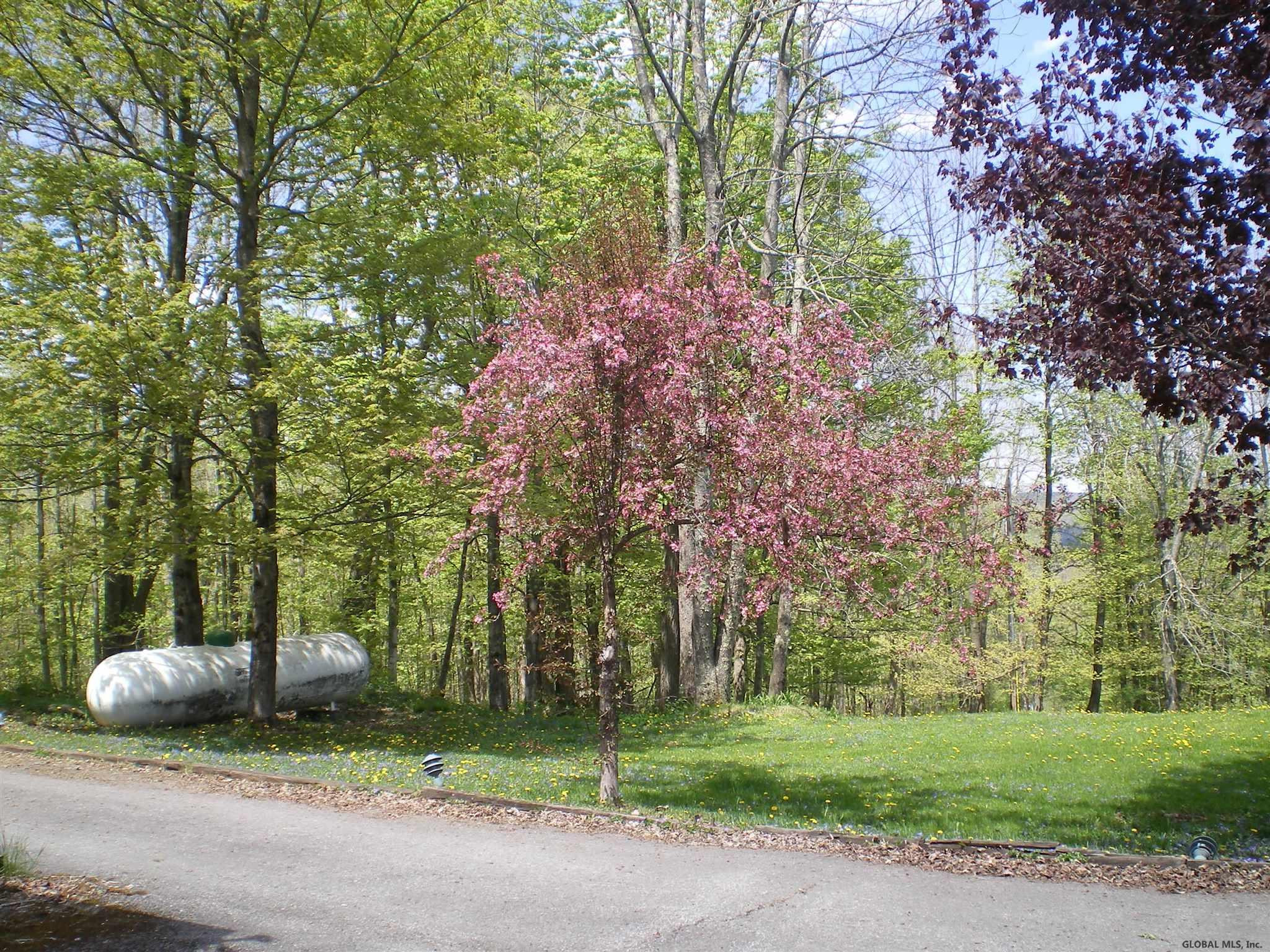 498 Perry Hill Road Cherry Valley, NY 13320 - Photo 33 of 35 Photo 34