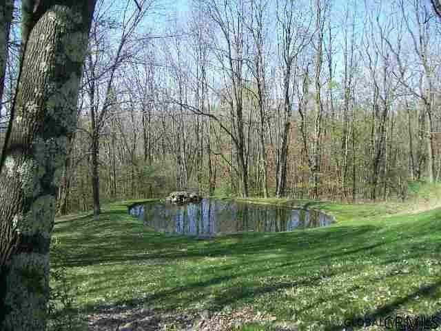 498 Perry Hill Road Cherry Valley, NY 13320 - Photo 5 of 35 Photo 6