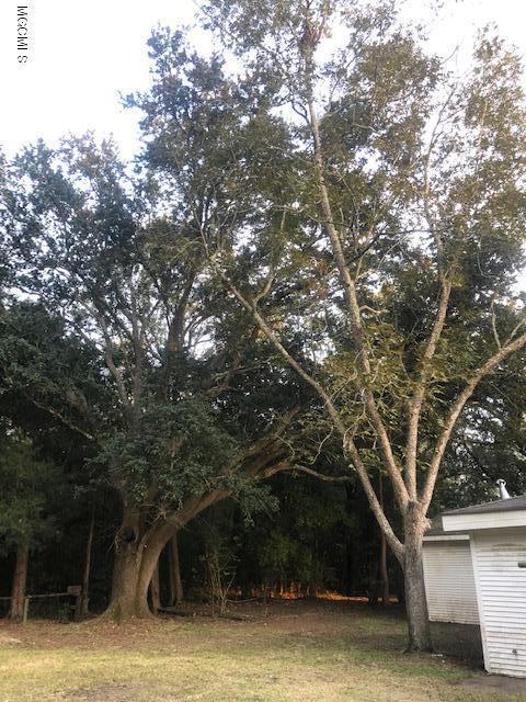 6200 Elder Ferry Road Moss Point, MS 39563 - Photo 8 of 25 IMG_0945