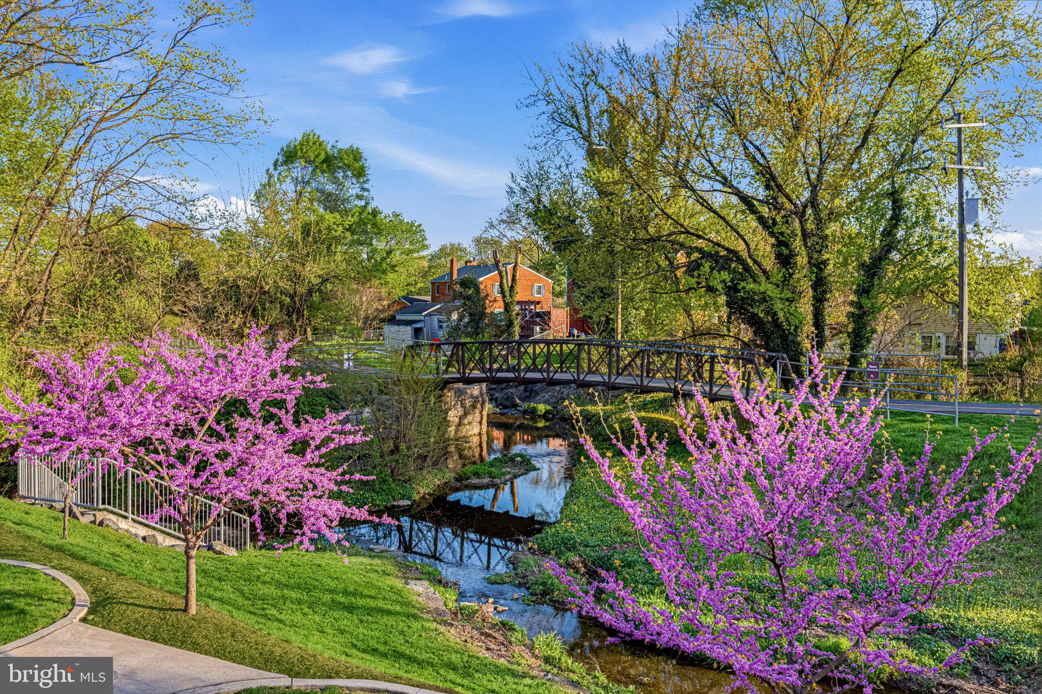5 Stationmaster Street Southeast, Unit 203 Leesburg, VA 20175 - Photo 4 of 4 Charming spring scene by the creek.
