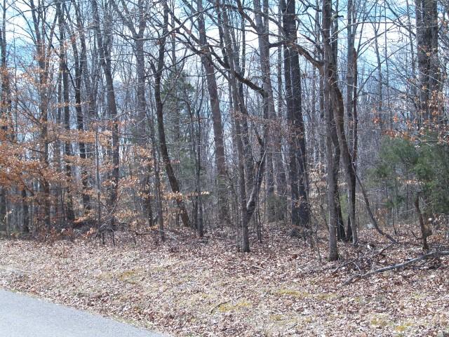 0 County Line Road North Burns, TN 37029 - Photo 3 of 9 Gallery Image 3