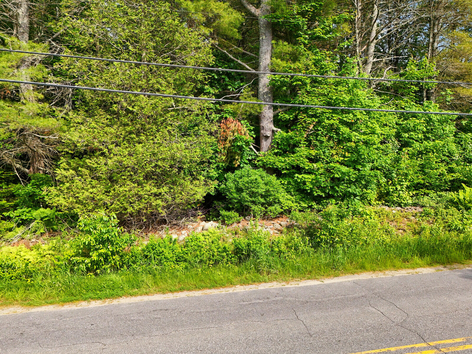 Tbd Nash Road Pittston, ME 04345 - Photo 3 of 17 02_DJI_20240618160825_0242_D_DxO_mls