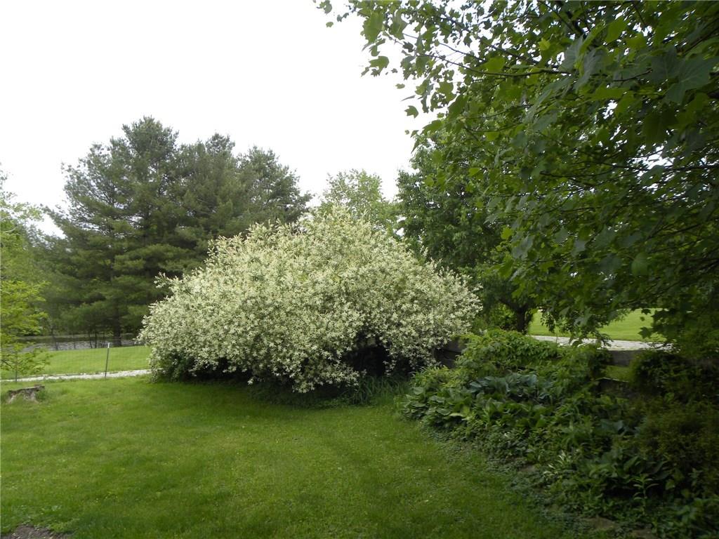 5680 North Oak Ridge Road Morgantown, IN 46160 - Photo 39 of 41 Gallery Image 39