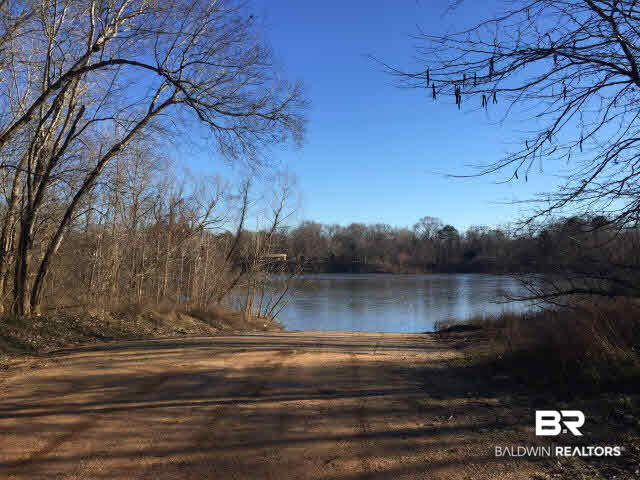 0 Sandy Bottoms Road Gainestown, AL 36540 - Photo 3 of 5 Boat Launch