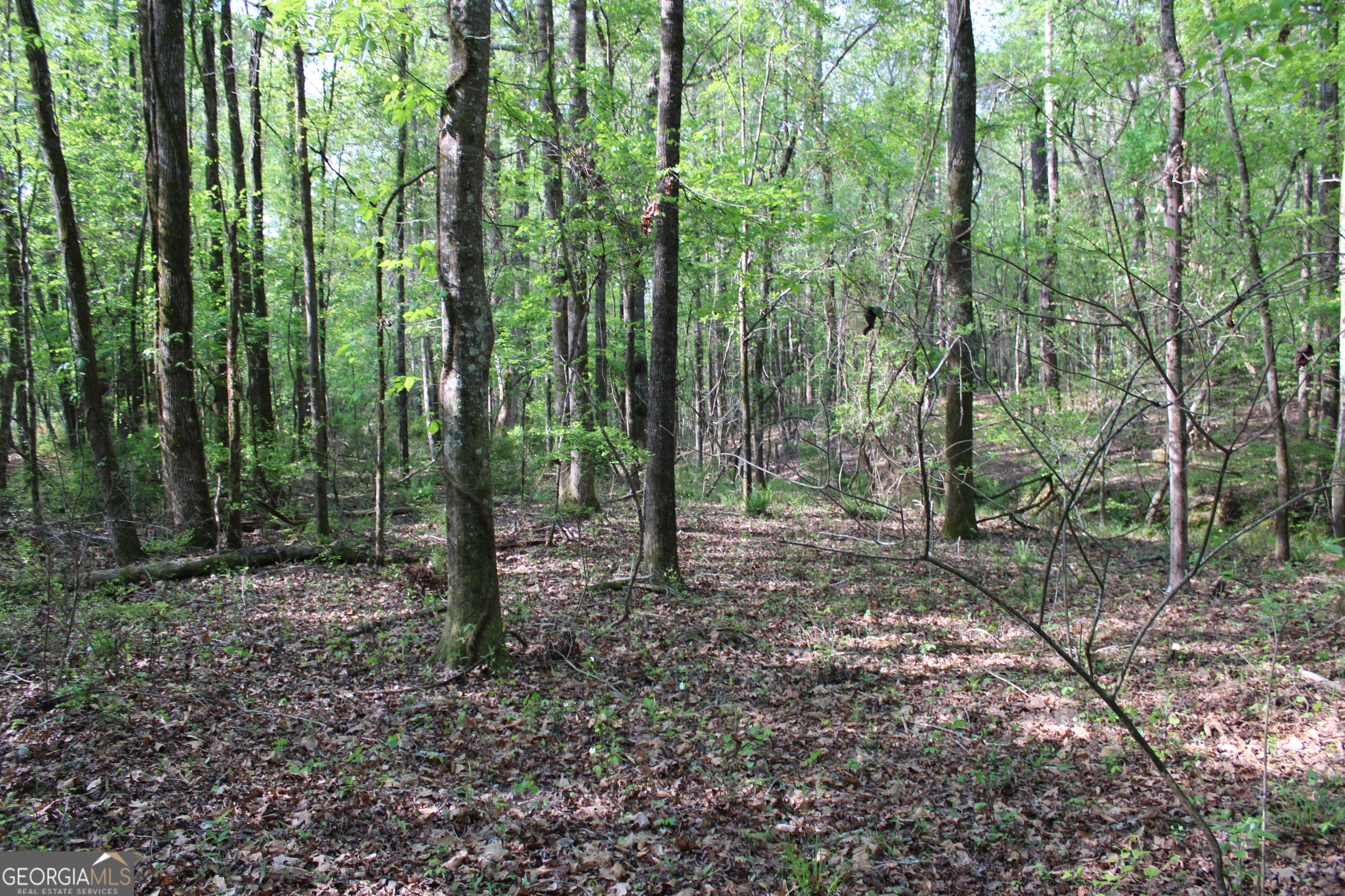 0 Ruffner Road The Rock, GA 30285 - Photo 10 of 51 a view of outdoor space and green space