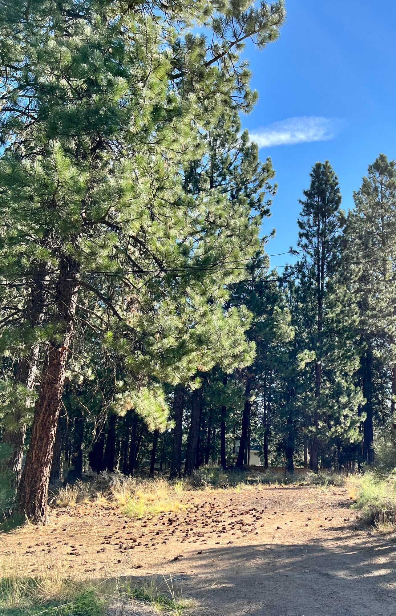 60492 Zuni Road Bend, OR 97702 - Photo 17 of 19 Lots of room at the back of the lot, too!