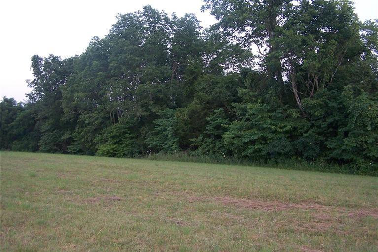 13827 Irvine Road Winchester, KY 40391 - Photo 6 of 9 Photo 6