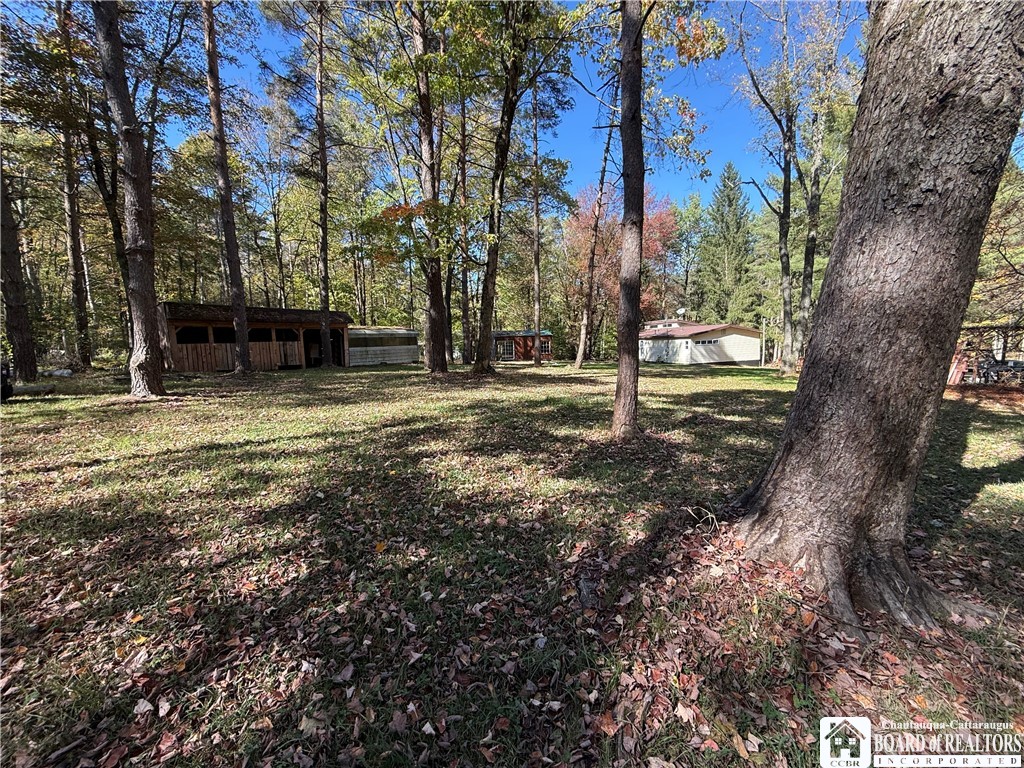 605 Gurnsey Hollow Road Carroll, NY 14738 - Photo 27 of 32 Back yard