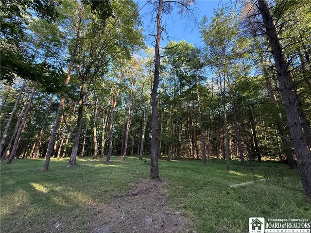 $165,000 | 605 Gurnsey Hollow Road, Carroll, NY 14738