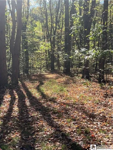 $165,000 | 605 Gurnsey Hollow Road, Carroll, NY 14738