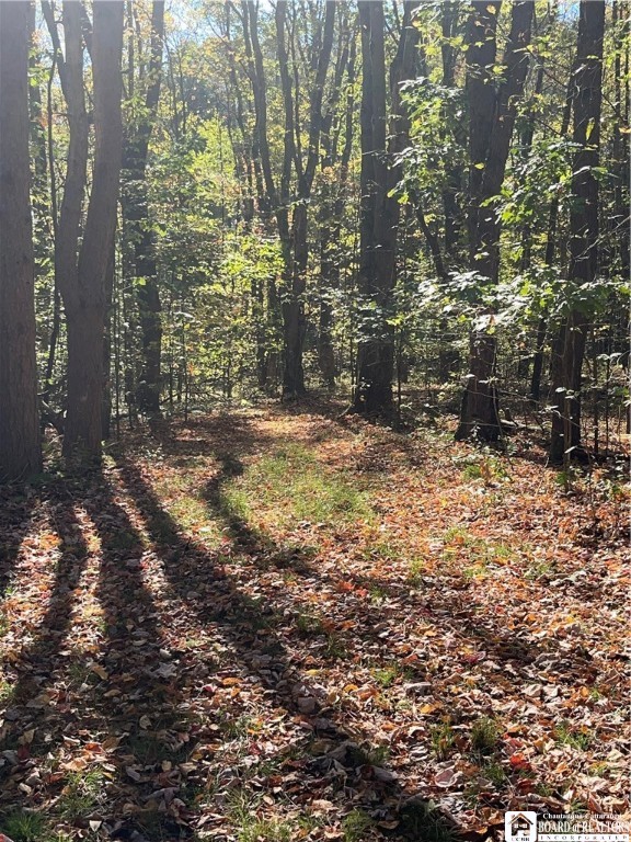 605 Gurnsey Hollow Road Carroll, NY 14738 - Photo 29 of 32 Walking-ATV Trail