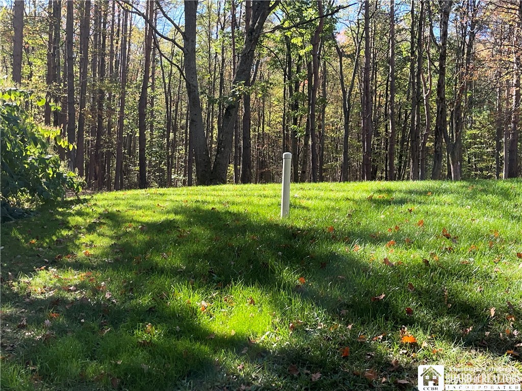 605 Gurnsey Hollow Road Carroll, NY 14738 - Photo 31 of 32 Side yard