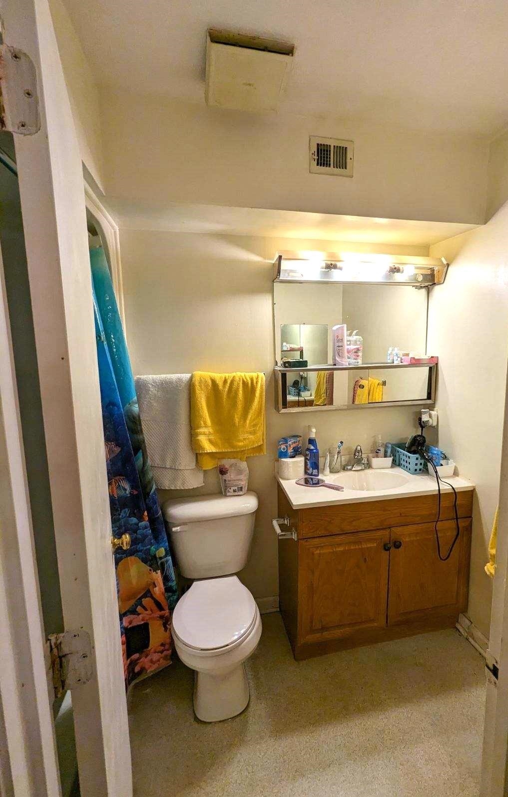 1112 Blue Ridge Drive, Unit 9 Harrisonburg, VA 22802 - Photo 11 of 13 a bathroom with a toilet sink and mirror