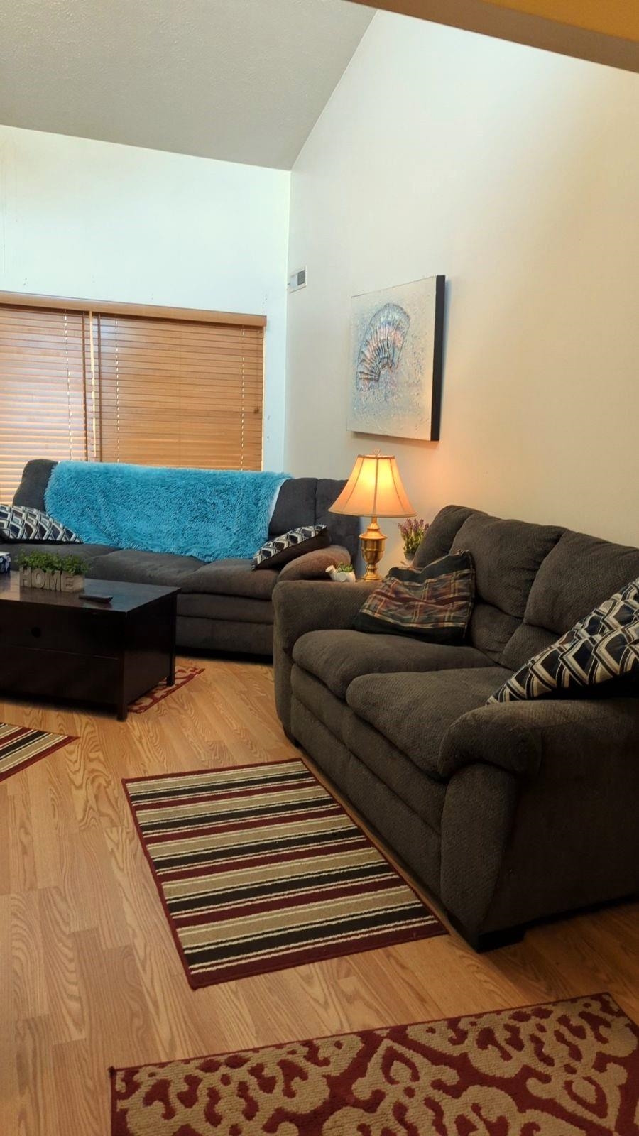 1112 Blue Ridge Drive, Unit 9 Harrisonburg, VA 22802 - Photo 4 of 13 a living room with furniture