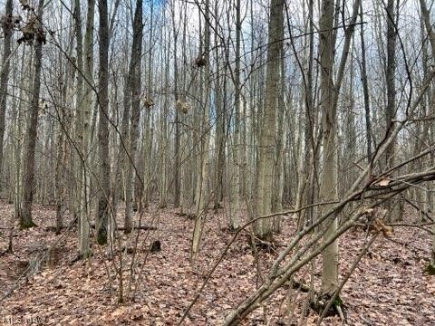1291 Old Kyle Road Dorset, OH 44032 - Photo 5 of 21