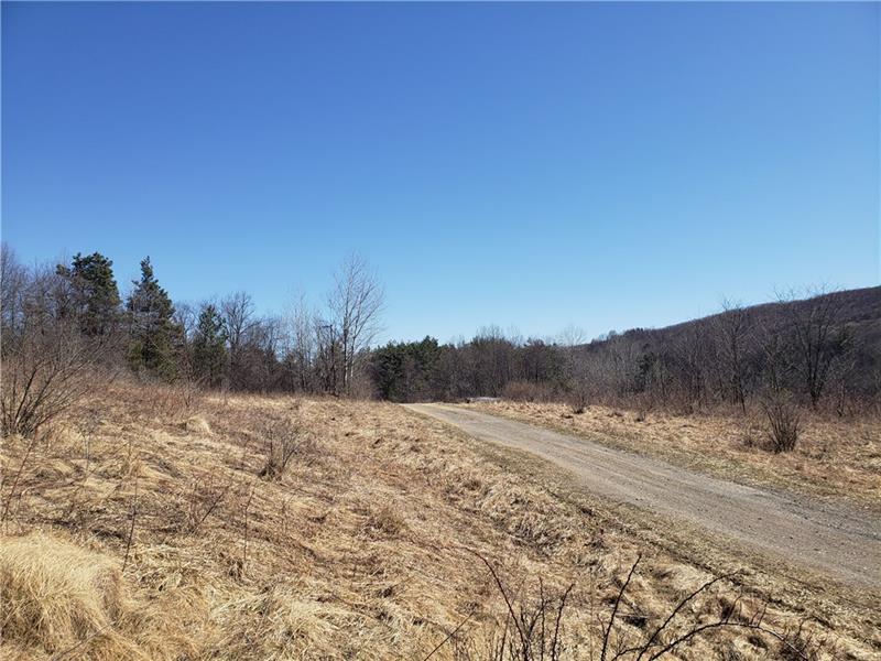 - Terwilliger Road Parker, PA 16049 - Photo 3 of 9