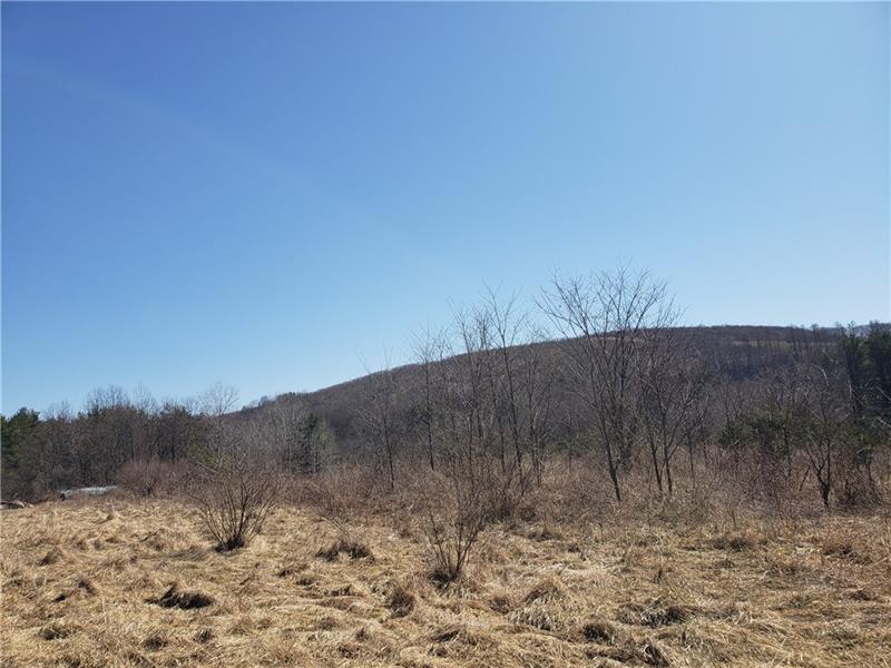 - Terwilliger Road Parker, PA 16049 - Photo 4 of 9