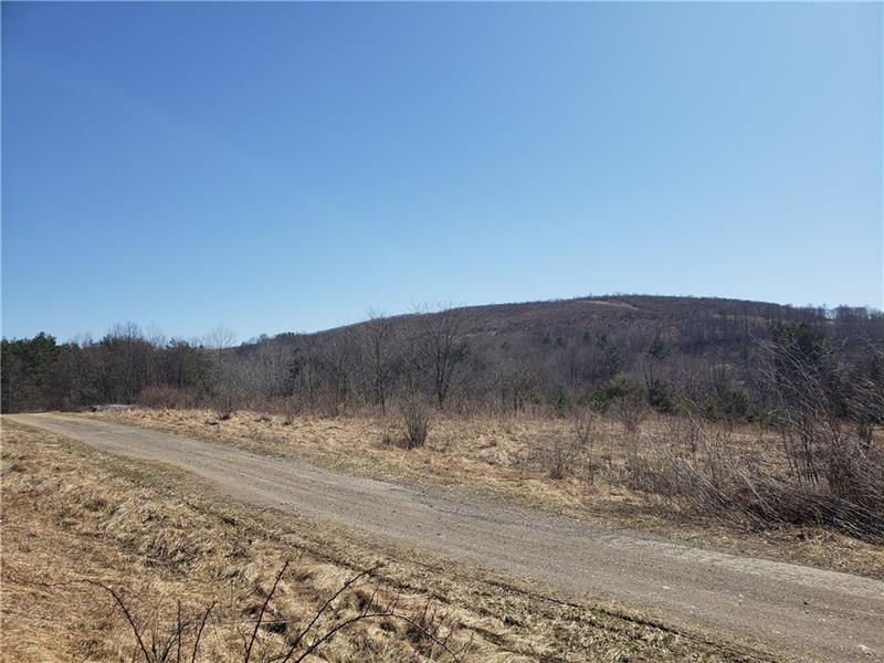 - Terwilliger Road Parker, PA 16049 - Photo 7 of 9