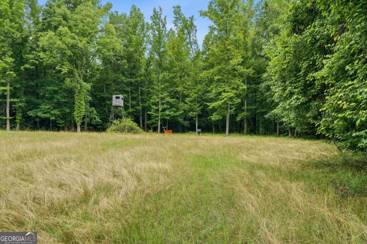 0 Pear Orchard Road Greensboro, GA 30642 - Photo 21 of 34