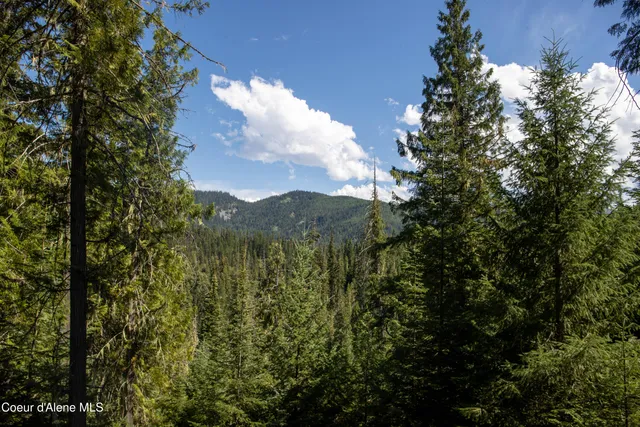 $875,000 | 12 Unincorporated Id 83525, Kooskia, ID 83539