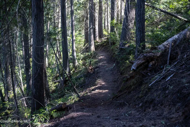 $875,000 | 12 Unincorporated Id 83525, Kooskia, ID 83539