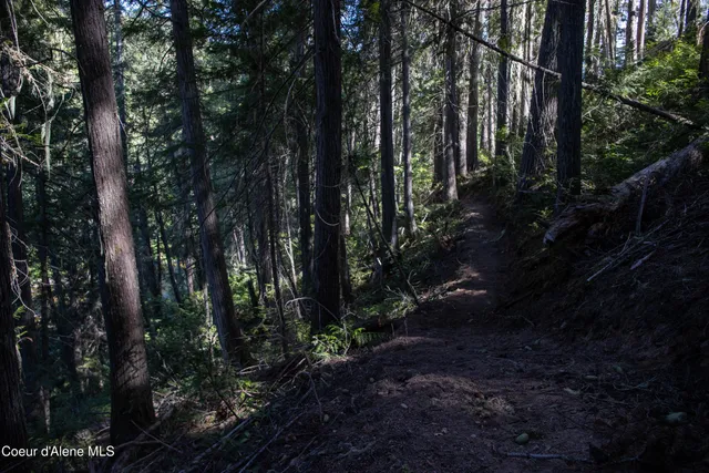 $875,000 | 12 Unincorporated Id 83525, Kooskia, ID 83539