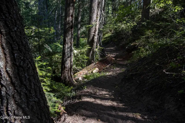 $875,000 | 12 Unincorporated Id 83525, Kooskia, ID 83539