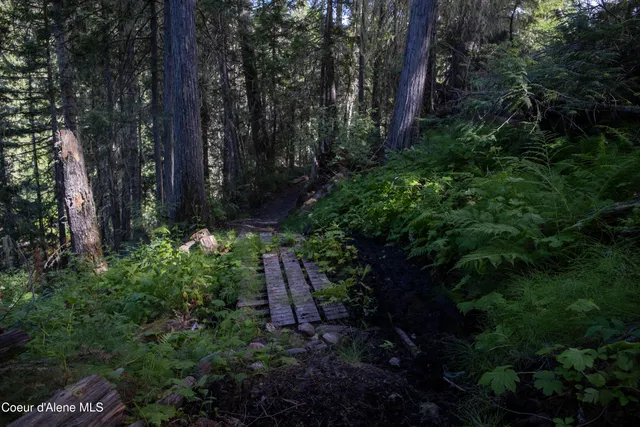 $875,000 | 12 Unincorporated Id 83525, Kooskia, ID 83539