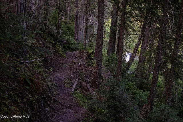 $875,000 | 12 Unincorporated Id 83525, Kooskia, ID 83539