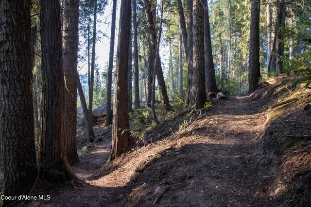 $875,000 | 12 Unincorporated Id 83525, Kooskia, ID 83539