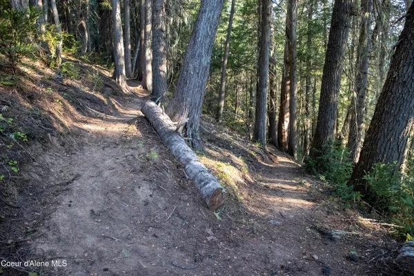 $875,000 | 12 Unincorporated Id 83525, Kooskia, ID 83539