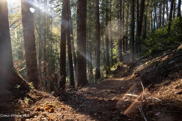 $875,000 | 12 Unincorporated Id 83525, Kooskia, ID 83539