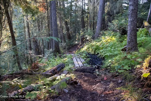 $875,000 | 12 Unincorporated Id 83525, Kooskia, ID 83539