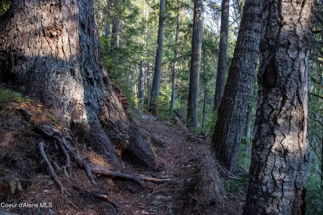 $875,000 | 12 Unincorporated Id 83525, Kooskia, ID 83539