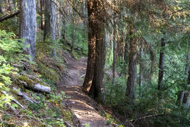 $875,000 | 12 Unincorporated Id 83525, Kooskia, ID 83539