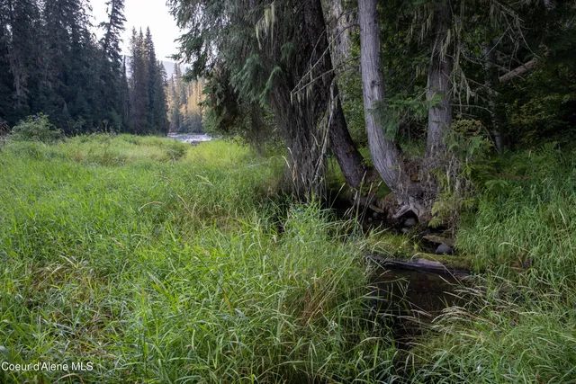 $875,000 | 12 Unincorporated Id 83525, Kooskia, ID 83539