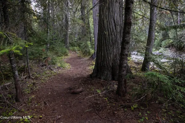 $875,000 | 12 Unincorporated Id 83525, Kooskia, ID 83539