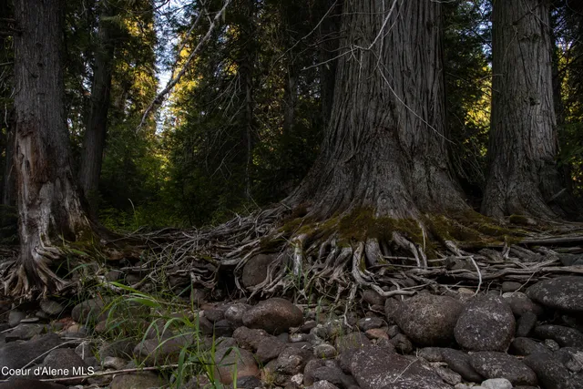 $875,000 | 12 Unincorporated Id 83525, Kooskia, ID 83539