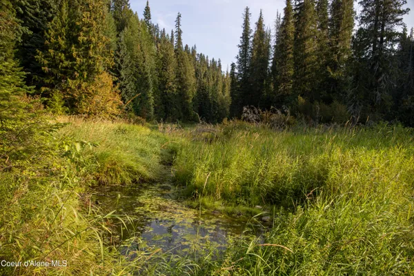 $875,000 | 12 Unincorporated Id 83525, Kooskia, ID 83539