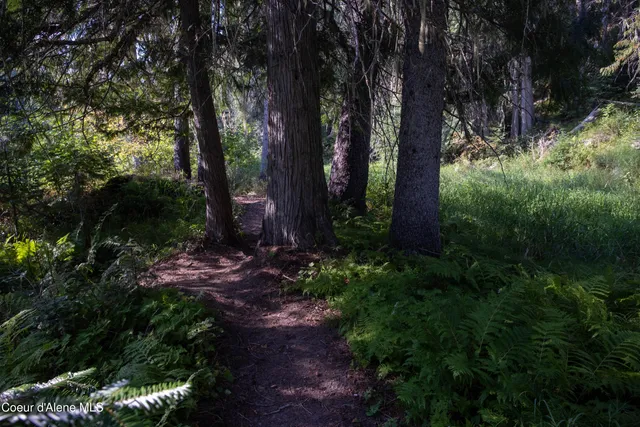 $875,000 | 12 Unincorporated Id 83525, Kooskia, ID 83539