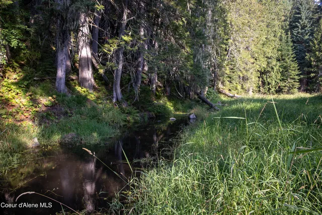 $875,000 | 12 Unincorporated Id 83525, Kooskia, ID 83539